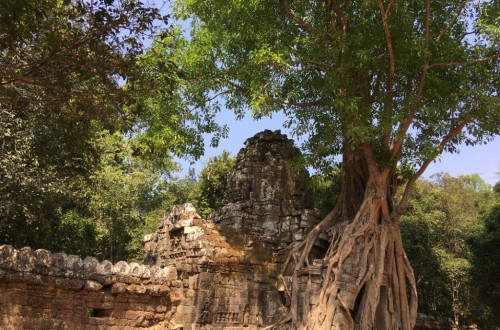 Best of Cambodia Itinerary 14 Days Tours