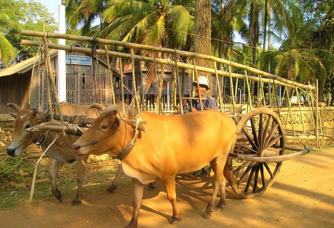 Koh Dach Mekong Silk Island Sunset Cruise Tour