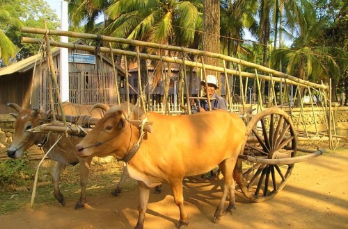 Koh Dach Mekong Silk Island Sunset Cruise Tour