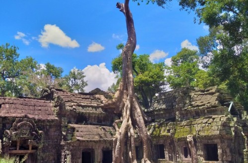 Nice Siem Reap Experiences 6 Days tours