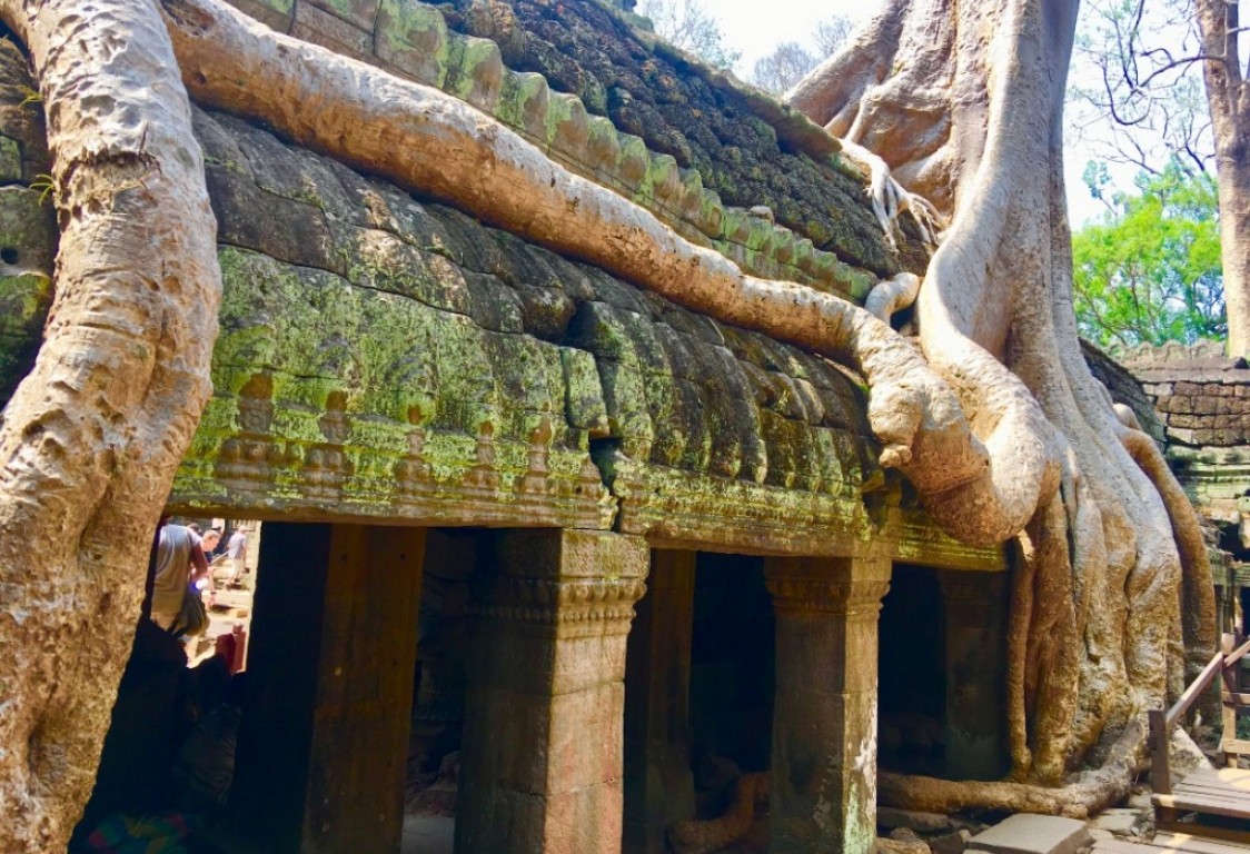 Private Full Day Angkor Temple Until Sunset Tours