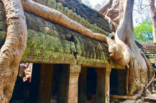 Private Full Day Angkor Temple Until Sunset Tours