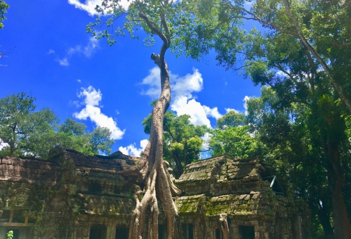 Private Full Day Angkor Temple Until Sunset Tours