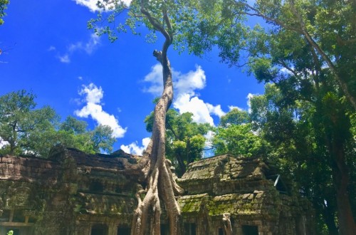 Private Full Day Angkor Temple Until Sunset Tours