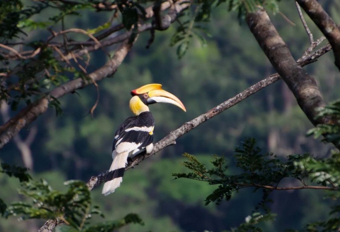 Prek Toal Birds Sanctuary & floating Village Private Tours