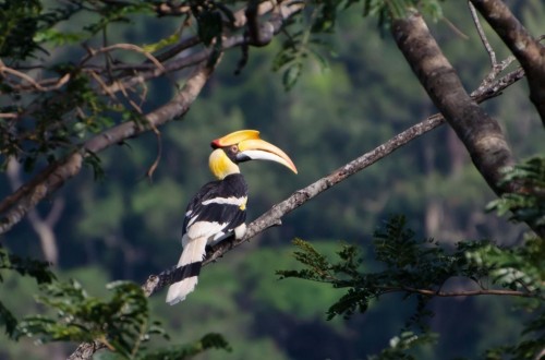 Prek Toal Birds Sanctuary & floating Village Private Tours